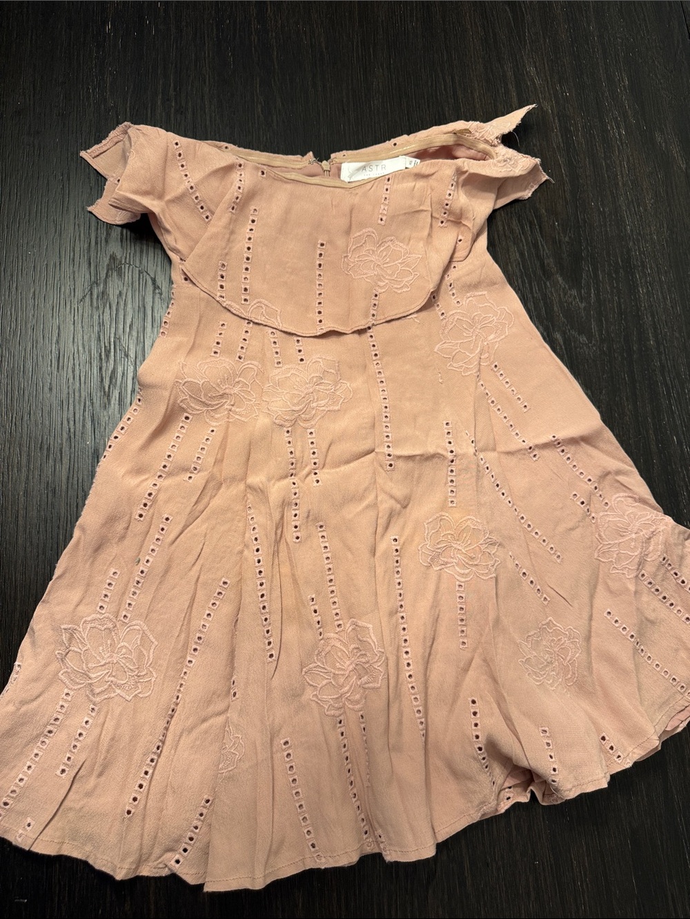Astr Dusty Rose Eyelet Floral Mini Dress